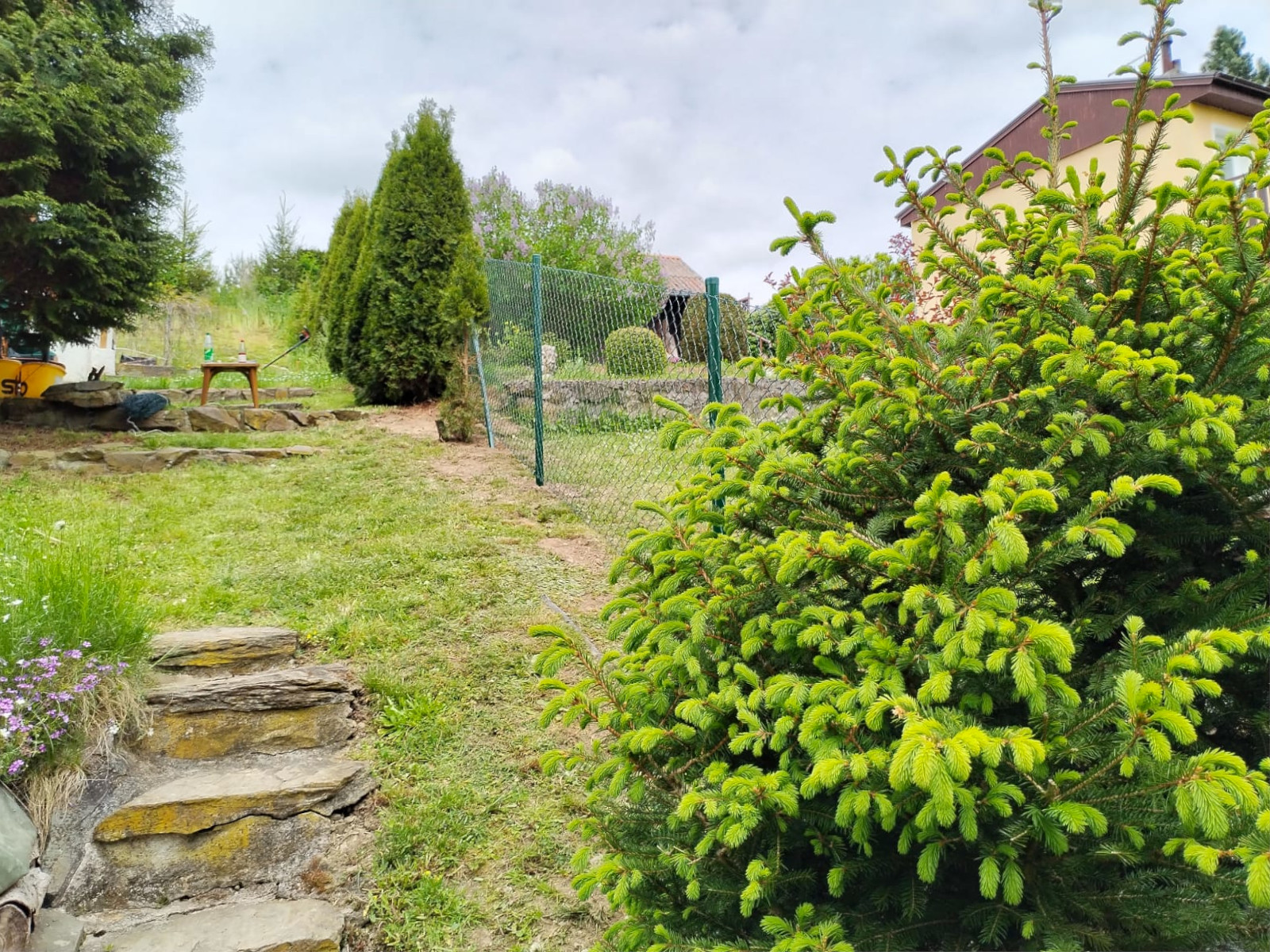 772341fc-bd00-47b8-b13e-bf4526da63d3